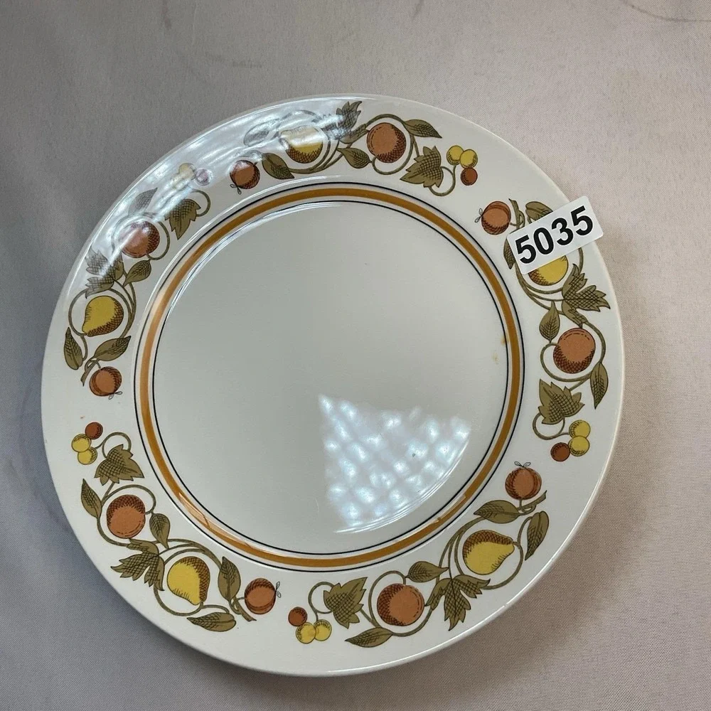 Vintage Franciscan Pickwick Dinner Plates Set of 4 1970s Fruit Pattern Japan